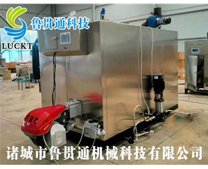 1噸燃?xì)猓ㄓ停┱羝l(fā)生器 現(xiàn)貨供應(yīng)，工廠直銷，規(guī)格型號(hào)眾多，可來電咨詢